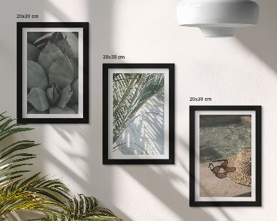 Moderne billedsæt Tropiske planter og sommerferiedetaljer