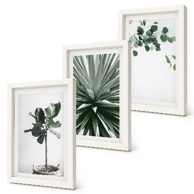Billedvæg Grønne planter i minimalistisk stil