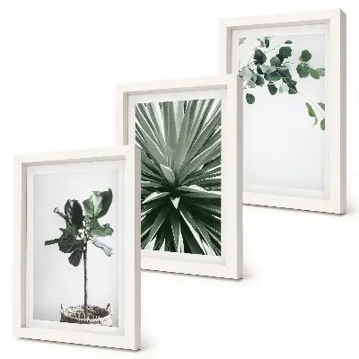 Billedvæg med grønne planter i minimalistisk stil