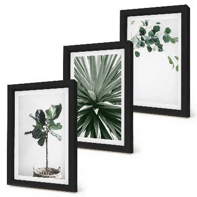 Billedvæg Grønne planter i minimalistisk stil
