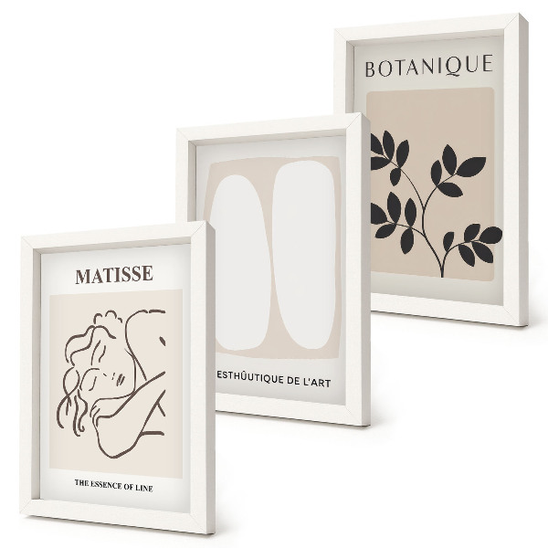 Pakke med billeder og rammer Stilfulde minimalistiske malerier med plantemotiver af Matisse