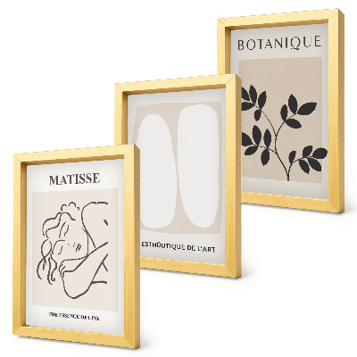 Pakke med billeder og rammer Stilfulde minimalistiske malerier med plantemotiver af Matisse