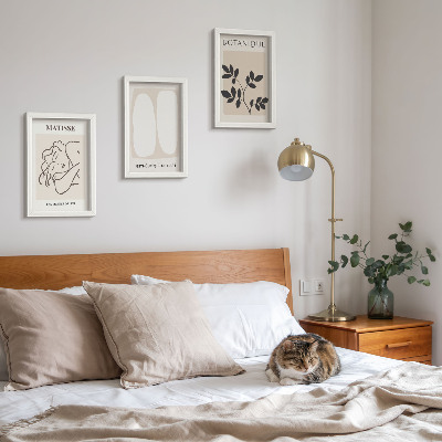 Pakke med billeder og rammer Stilfulde minimalistiske malerier med plantemotiver af Matisse