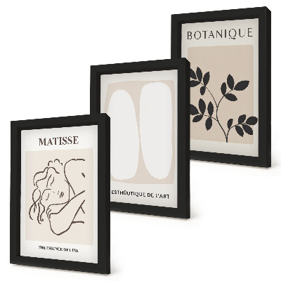 Pakke med billeder og rammer Stilfulde minimalistiske malerier med plantemotiver af Matisse