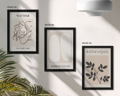Pakke med billeder og rammer Stilfulde minimalistiske malerier med plantemotiver af Matisse