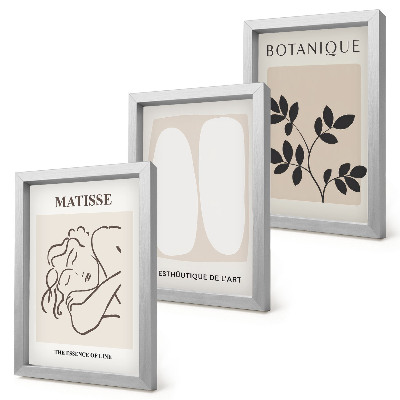 Pakke med billeder og rammer Stilfulde minimalistiske malerier med plantemotiver af Matisse