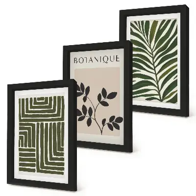 Billedvæg med botaniske kompositioner i boho-minimalistisk stil