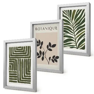 Billedvæg med botaniske kompositioner i boho-minimalistisk stil