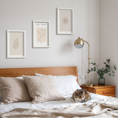 Moderne billedsæt En samling af minimalistiske former og naturlige figurer