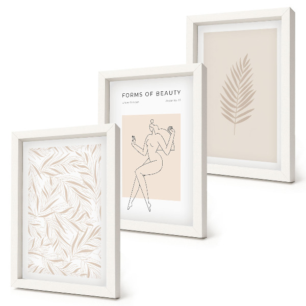 Pakke med billeder og rammer Minimalistiske botaniske designmotiver