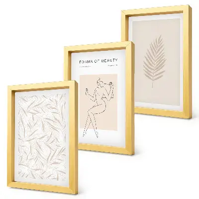 Botaniske plakater med rammer minimalistiske designmotiver