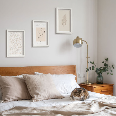 Pakke med billeder og rammer Minimalistiske botaniske designmotiver