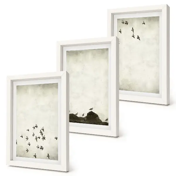 Billeder med rammer minimalistisk kunst med fugle i flugt