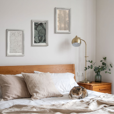 Moderne billedsæt Sommerteksturer nærbillede i et tropisk klima