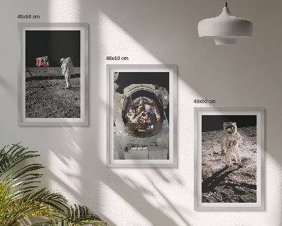 Billedvæg inspiration NASA Måneastronautlanding