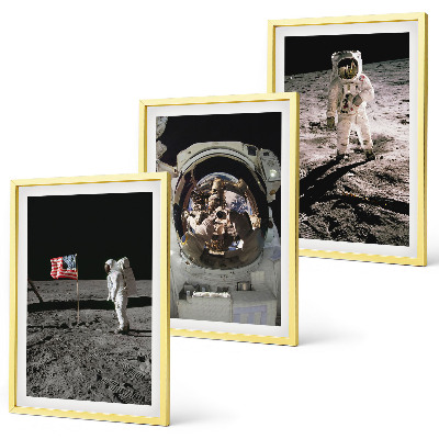 Billedvæg inspiration NASA Måneastronautlanding