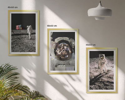 Billedvæg inspiration NASA Måneastronautlanding