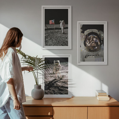 Billedvæg inspiration NASA Måneastronautlanding