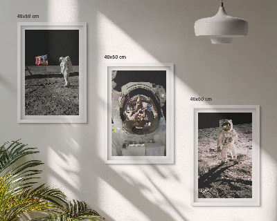 Billedvæg inspiration NASA Måneastronautlanding