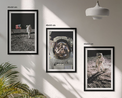 Billedvæg inspiration NASA Måneastronautlanding