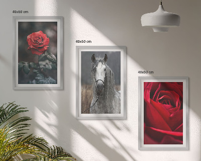 Billedvæg inspiration Røde roser hest grå verden