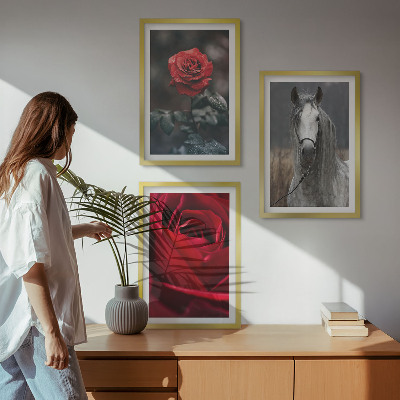 Billedvæg inspiration Røde roser hest grå verden