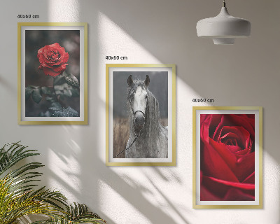 Billedvæg inspiration Røde roser hest grå verden