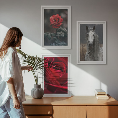 Billedvæg inspiration Røde roser hest grå verden