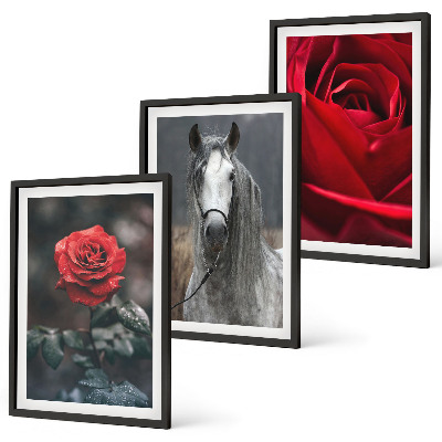 Billedvæg inspiration Røde roser hest grå verden