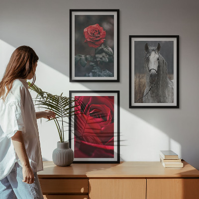 Billedvæg inspiration Røde roser hest grå verden