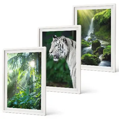 Billedvæg inspiration med jungle tiger og vandfald
