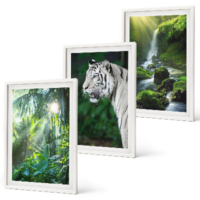 Billedvæg inspiration Jungle tiger vandfald