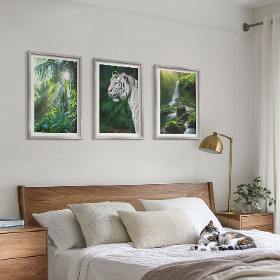 Billedvæg inspiration Jungle tiger vandfald