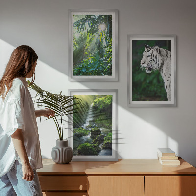 Billedvæg inspiration Jungle tiger vandfald