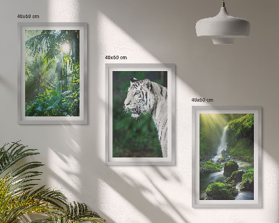 Billedvæg inspiration Jungle tiger vandfald
