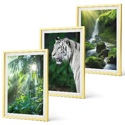 Billedvæg inspiration med jungle tiger og vandfald