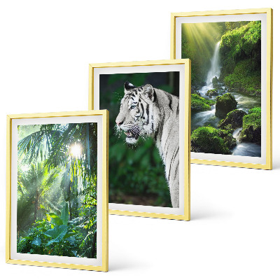 Billedvæg inspiration Jungle tiger vandfald