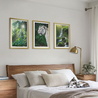 Billedvæg inspiration Jungle tiger vandfald
