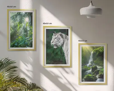 Billedvæg inspiration med jungle tiger og vandfald