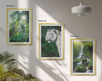 Billedvæg inspiration Jungle tiger vandfald