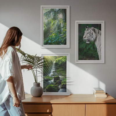 Billedvæg inspiration Jungle tiger vandfald