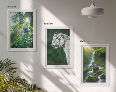 Billedvæg inspiration Jungle tiger vandfald