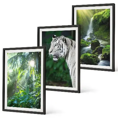 Billedvæg inspiration med jungle tiger og vandfald