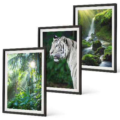 Billedvæg inspiration Jungle tiger vandfald