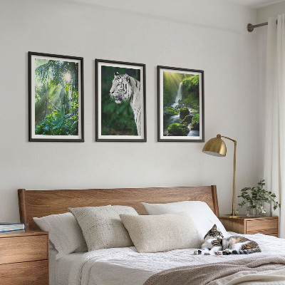 Billedvæg inspiration Jungle tiger vandfald