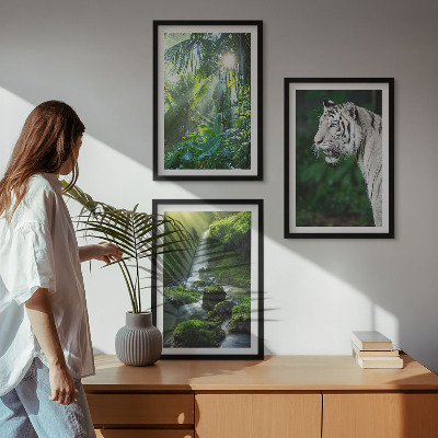 Billedvæg inspiration Jungle tiger vandfald