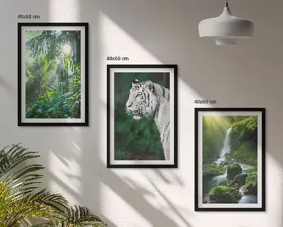 Billedvæg inspiration med jungle tiger og vandfald
