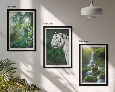 Billedvæg inspiration Jungle tiger vandfald