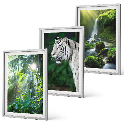 Billedvæg inspiration Jungle tiger vandfald