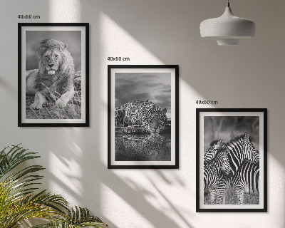 Billedvæg inspiration Savannens vilde dyr